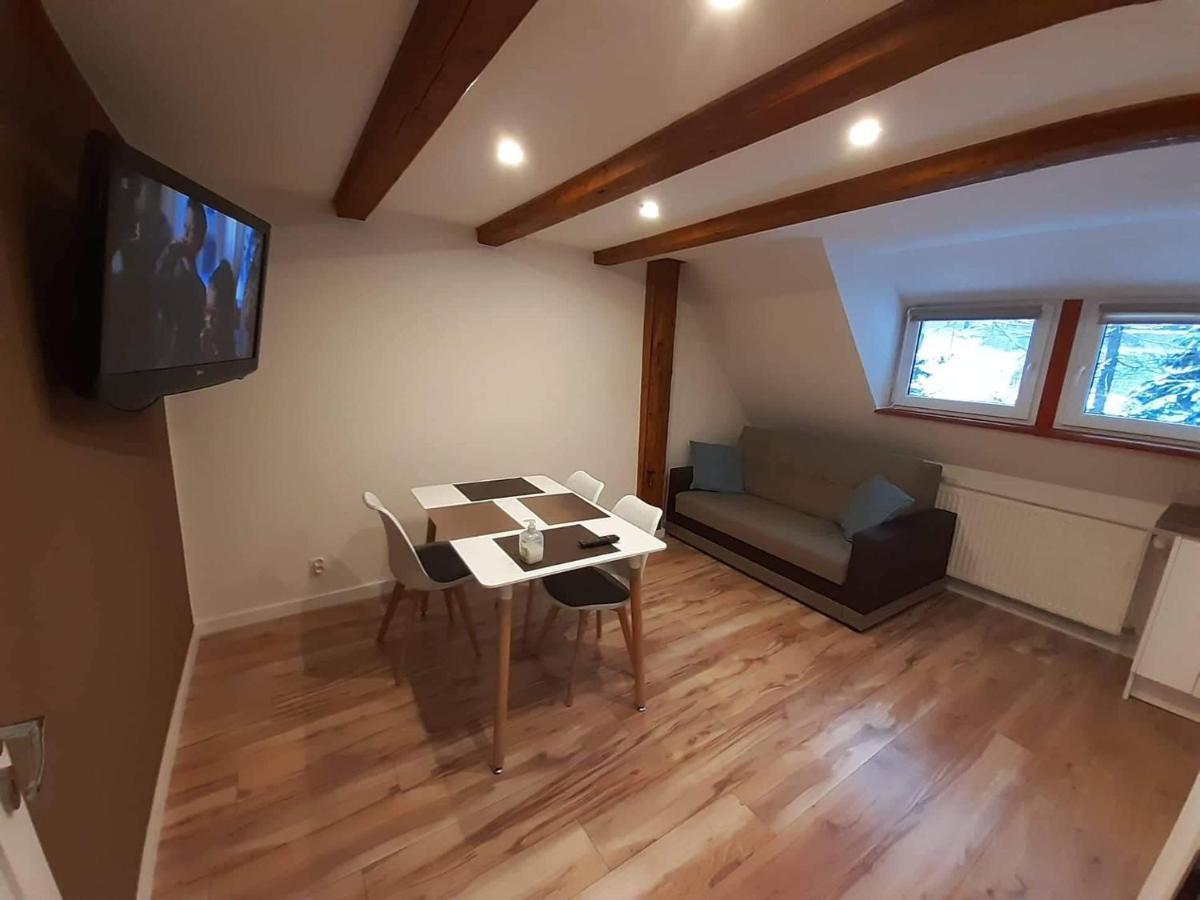 Apartamenty Przy Swierku Шклярска-Поремба Экстерьер фото