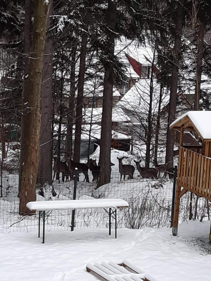 Apartamenty Przy Swierku Шклярска-Поремба Экстерьер фото